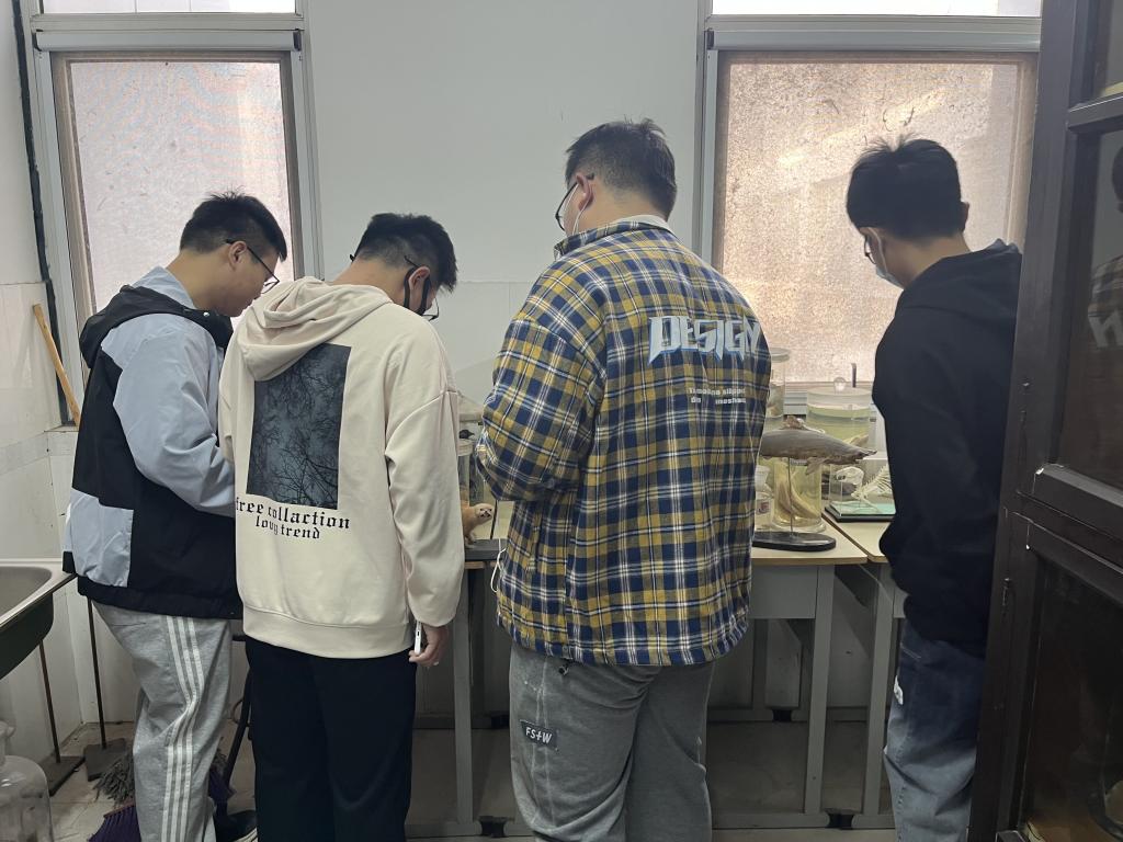 必赢集团bwin