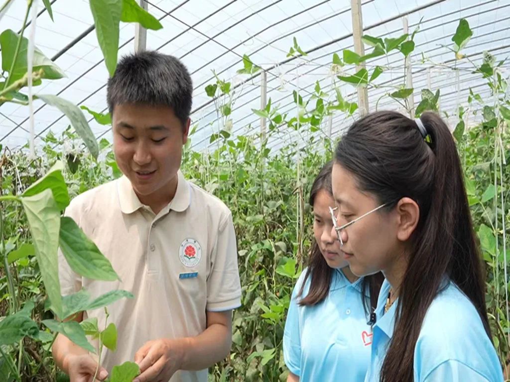 a29bde99859de7c15468456542bf1f5_副本.jpg 必赢集团bwin