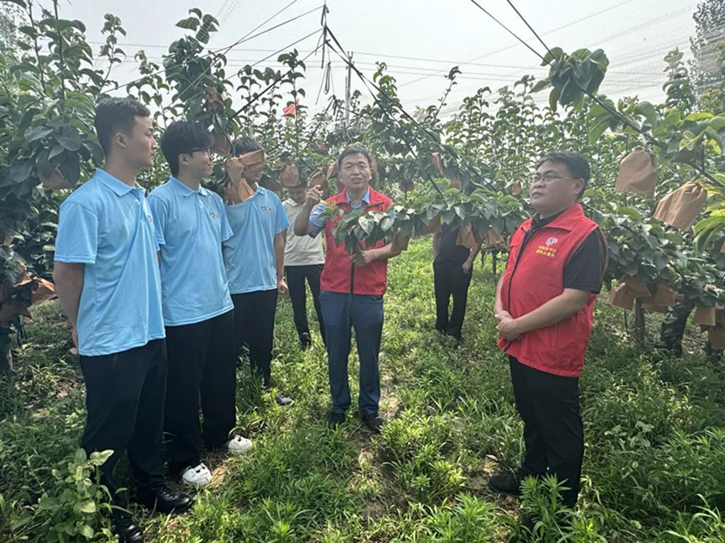 b41910221faca45ef9c586d7690a8b0_副本.jpg 必赢集团bwin