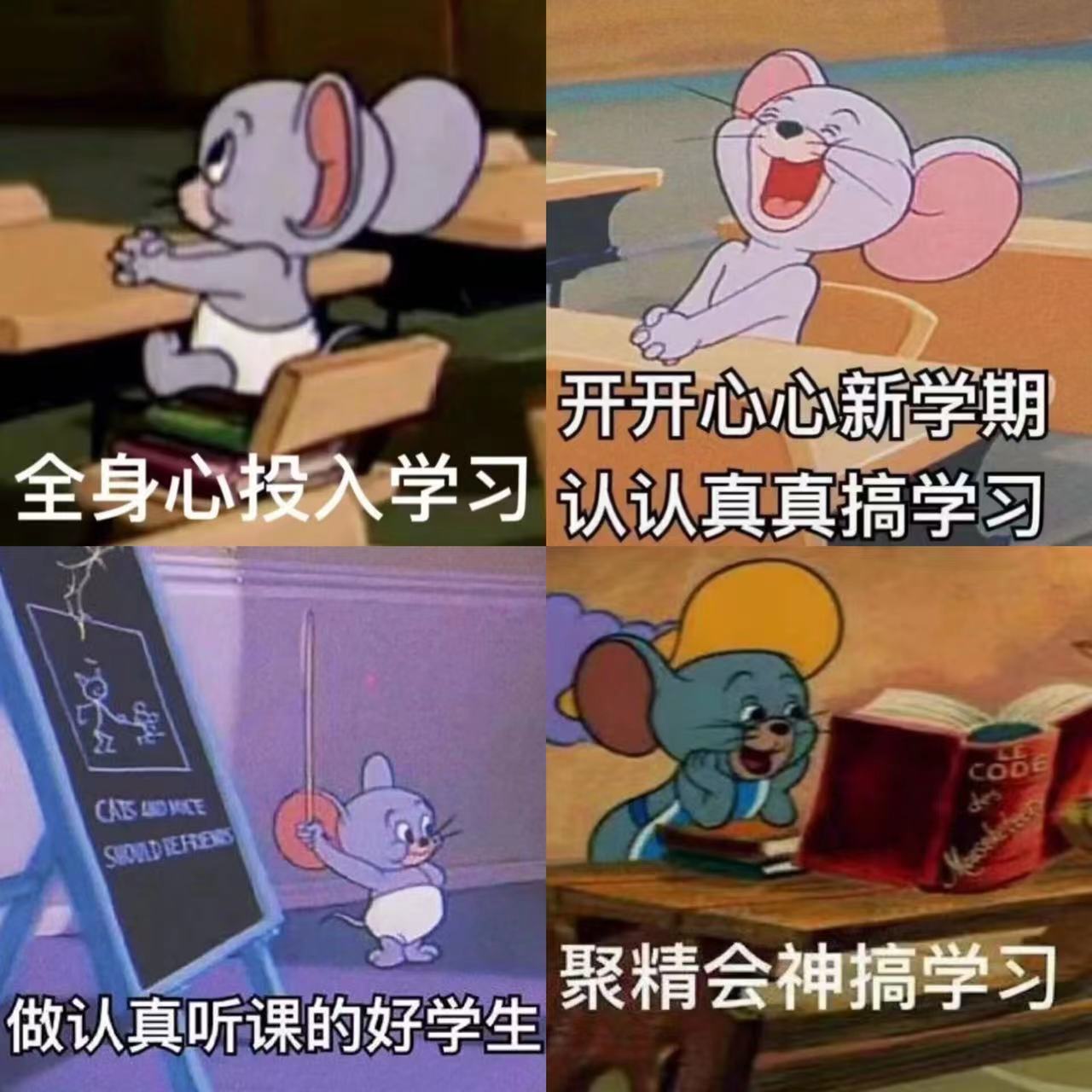 必赢集团bwin